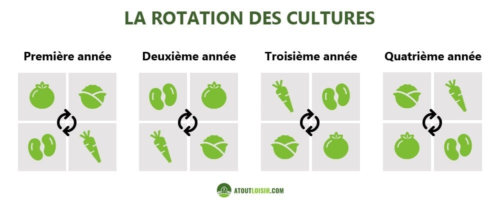 Tout Savoir Pour Réussir Sa Culture Sous Serre - Les Conseils D'Atout ...